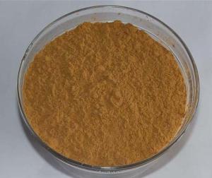 China GMP Supplier 1%-2% DNJ powder from white mulberry leaf extract wholesale