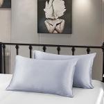 51×66cm Organic Mulbery Silk Pillowcase Colored For Dorm Room
