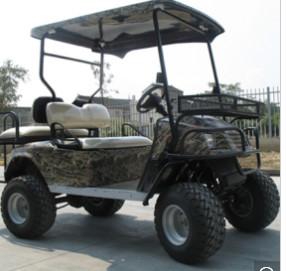 China Electric Hunting Buggy. Two Seats, Golf Buggy, off Road Buggy wholesale