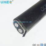 Flexible Conductor PVC Insulation Concentric Cable for Dominica Market
