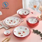Savall 12 Piece Round Dinnerware Set FDA Ceramic Plates And Bowls