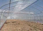 Advanced Clear Anti Drip Steel Frame Greenhouse Poly Tunnels For Gardens