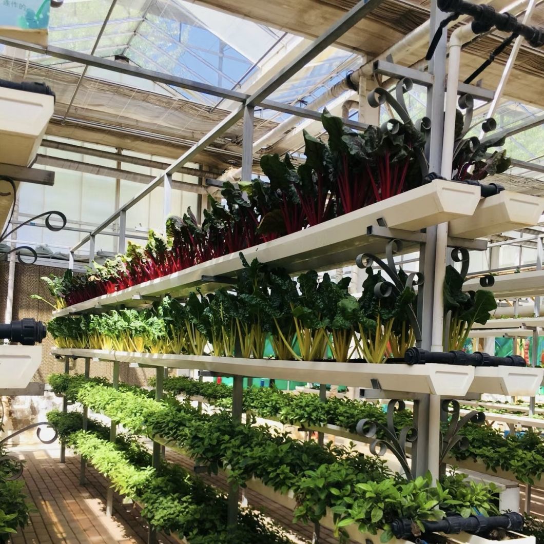 Reasonably Priced Glass Greenhouse Hydroponic System