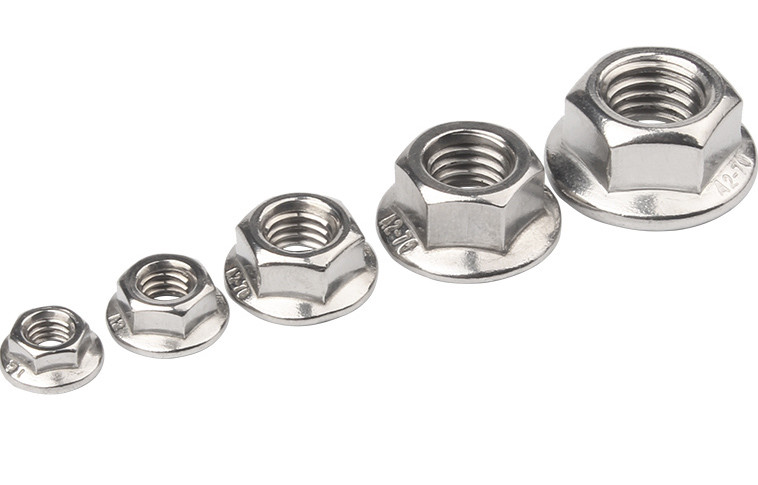 DIN6923 18-8 Stainless Steel Serrated Flange Locknuts Hexagon Nuts with Flange