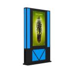 SECAM NTSC Advertising Digital Signage Kiosk 1920x1080