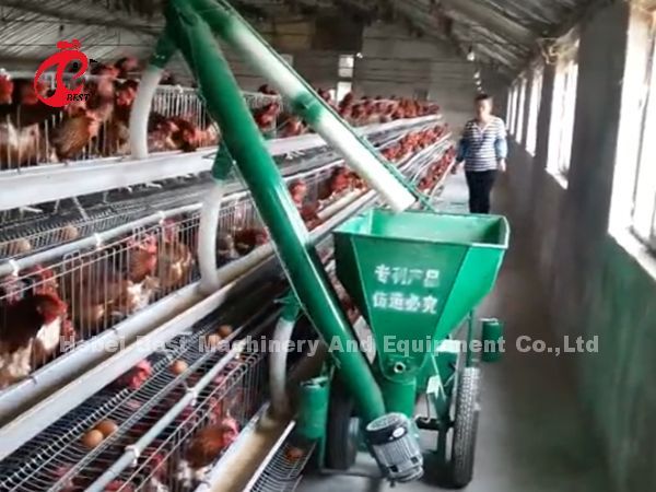 Semi Automatic Poultry Layer Cage 15000 Birds Manual Poultry Cage In Nigeria Iris