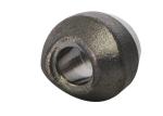 Forged SS SW S30408 9000LB Threaded Pipe Fitting