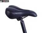 Motor 250w 20 Inch Electric Battery Powered Bike TM-KV-2010 Long Service Life