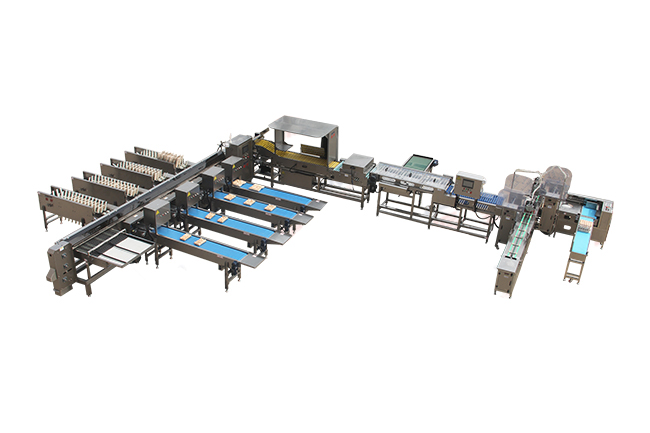 30,000 Eggs/hour LED Candling Electronic Egg Grading Sorting Machine