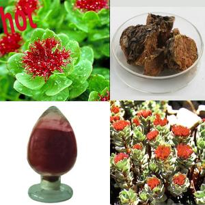China Natural Rhodiola Rosea Extract 3%-5% Rosavins 1%-3% Salidroside on sale