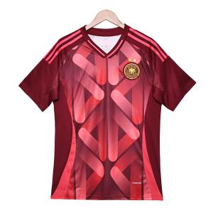 China 2025-2026 Germany Fan Edition Away Jersey Group Customization wholesale