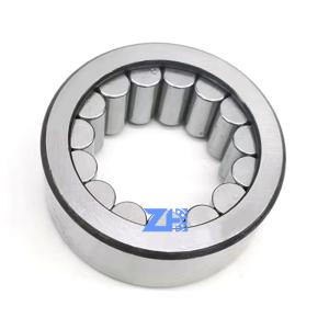 China R3021 Oil Pump Bearing 29.7*55*21mm Cylindrical Roller Bearing R3021YD wholesale