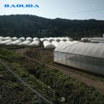 Farm Tunnel Polyethylene Film Greenhouse / Clear Plastic Greenhouse For Various