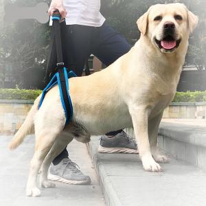 China Nylon Pet Leg Support Belt Rear Leg Disability Injury High Aged Dog Stair Auxiliary wholesale
