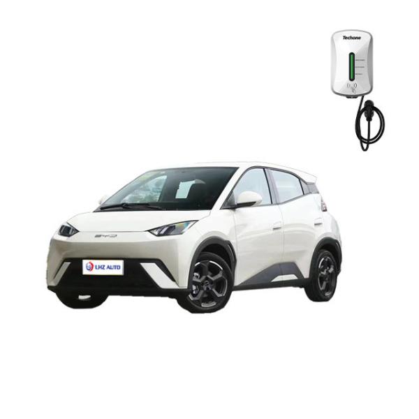 2024 BYD Haiou Flying PEP FREE Version Pure Electric Small Car with 30.08kWh