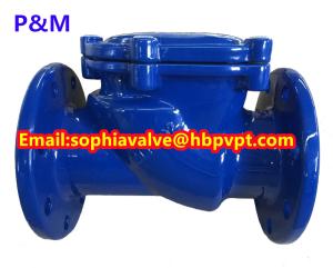 China resilient seal PN10/PN16 cast iron swing check valve wholesale