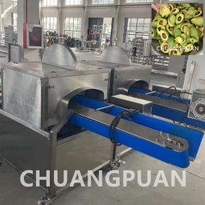 China Customized 1-10T/H Avocado Pulp Processing Machine with Automatic control on sale