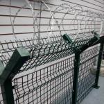 Iron Galvanized Or 304 Stainless Steel Razor Blade Fencing Wire Used For High