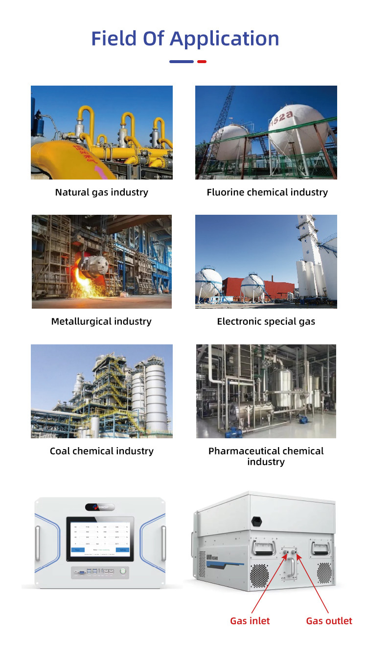 RS2600 Multi Gas Analyzer The Perfect Choice for Metallurgical Industry N2 Analysis