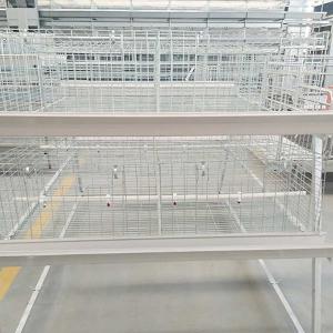 China Stable Performance Broiler Chicken Cage Easy To Clean 20 - 25 Years Warranty wholesale
