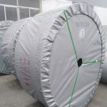 OEM EP200 Chemical Resistant Special Conveyor Belts