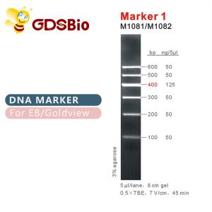 China Marker 1 DNA ladder M1081 (50μg)/M1082 (50μg×5) wholesale
