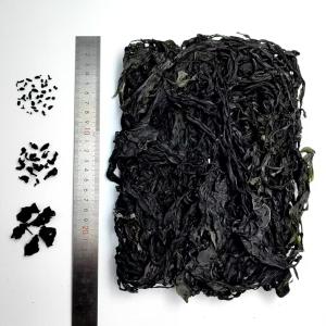 China Elevate Your Cooking with Organic Wakame: Tender Leaves, Deep Green Hue, Endless Culinary Uses wholesale
