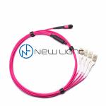 OM4 100G Transmission 12 Strand MTP Patch Cable
