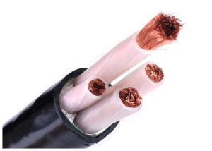 China Low Voltage XLPE Insulated Power Cable IEC 60228 Class 5 Copper Conductor PVC Sheath wholesale