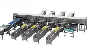 China Stainless Steel Poultry Chicken Egg Washing Machine Salted Duck Egg Cleaning Machine wholesale
