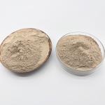 Effective Water Treatment Bio Bacteria Reduces Organic Pollutants And Improves