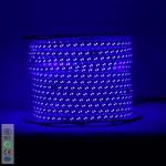 220V 5730 white warm white blue purple Flexible strip lighting led Double row