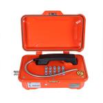 VoIP Hazardous Area Industrial Analog Telephone Pillar Mounting