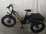 750W Electric Bike 3 Wheels Adult Fat Tire E Trike Cargo Torque 70-80 Nm Disc