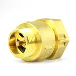 Anti Air Rotation Brass Check Valve Vertical Male Female Check Valve