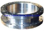 Steel Flange, Incoloy Alloy Steel Flange, ASTM AB564,NO8825/ Alloy 825/ 2.4858 ,