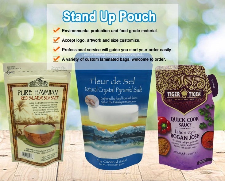 Small plastic bag doypack zip lock stand up mayler salt/pepper/cinnamon/curry powder spice bag packaging