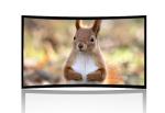 180 or 360 degree Immersive 3D Curved Projection Screen for Home Cinema