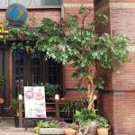 Outdoor Fake Lagerstroemia Indica Tree For Corner Decoration 3m Height