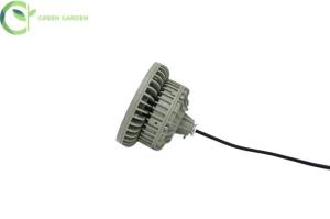 China 24VDC Flameproof High Bay Light Explosion Proof Lighting Manufacturers wholesale