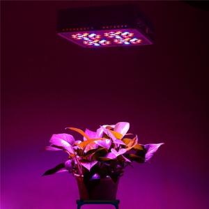 China hydroponic nutrients led grow light tubes full spectrum 300w led grow light wholesale