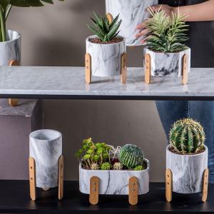 China Marble Pots Concrete Planters with Bamboo Stands Tabletop Plant Pots Succulents Pots Mini Pots wholesale
