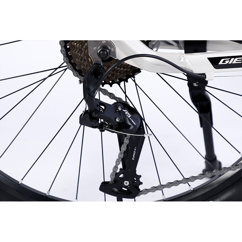 Double Wall Rim Hl Mountain Bike With Front And Rear Wheel Disc Brake