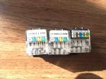 Black / White RJ45 Keystone Jack CAT5E UTP Gold Plating Size Customized