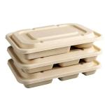 Eco Friendly Biodegradable Sugarcane Bagasse Pulp Paper Take Away Hot Food