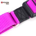 Pink Color Nature Nylon Dog Collars For Dog Training Outdoor All Seasons