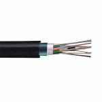 OM4 12 24 Strand Outdoor Armored PE Fiber Patch Cable