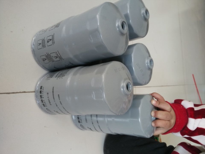 Sinotruk Filter Element 1105020D354, F0011-D, JAC-1228, UF0011-Q, DK4A-1105020C 0