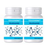 Vitamin B3 Nutrition Supplement Niacinamide with Resveratrol 120 Veggie Capsules