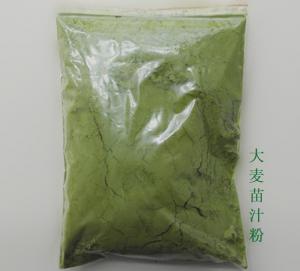 China Barley Grass Juice Powder 25 Times Concentrate Barley Grass extract powder wholesale